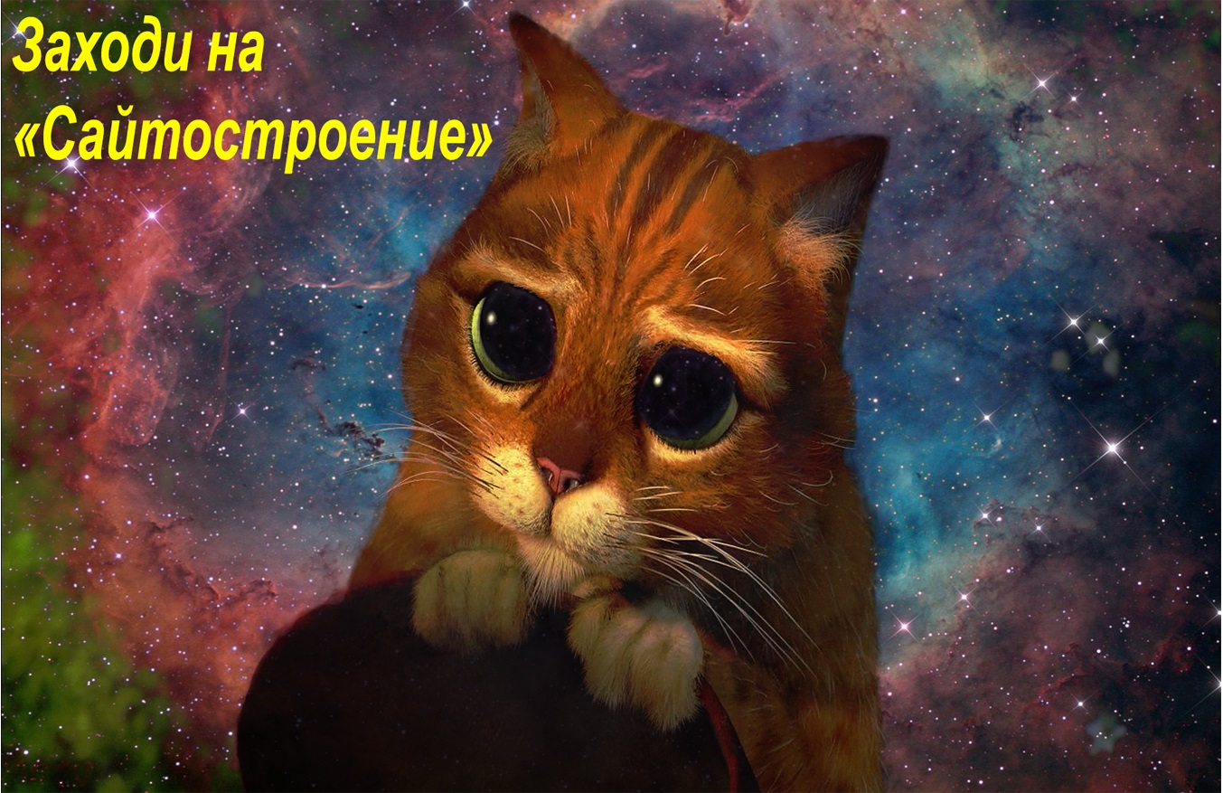ссылка
